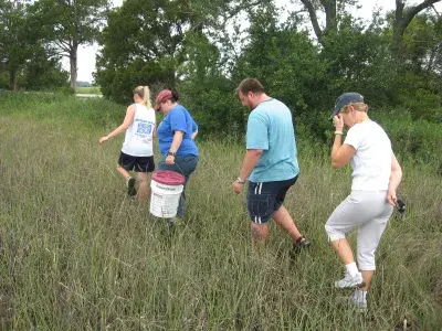 A group of people walking marshlands to clean up the area