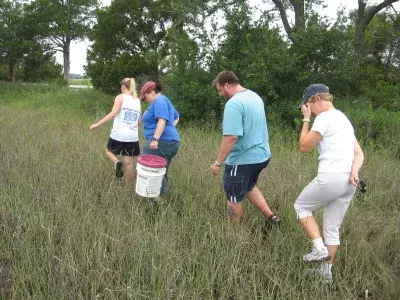 A group of people walking marshlands to clean up the area