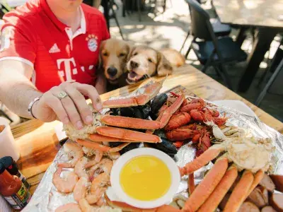 A person holding a crab leg while two dogs watch from below a table.