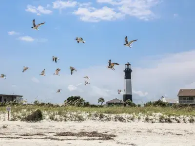 A flock of seagulls flying along the beach with a lighthouse in the background.
