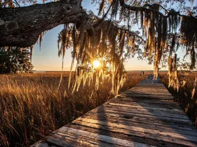 marshland sunset, tybee island