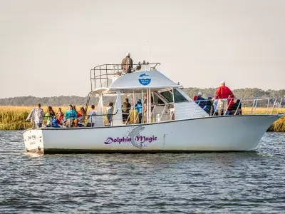 Student Tour Tybee Island Dolphin Magic
