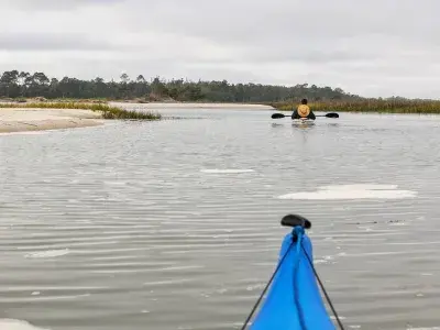 back river kayak tybee island