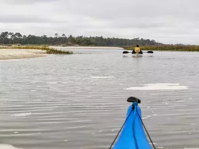 back river kayak tybee island