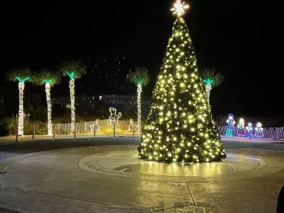 A beautifully lit outdoor Christmas tree