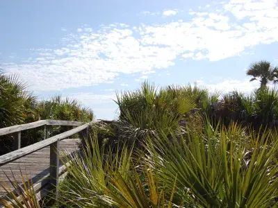 Tybee Island boardwalk