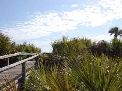 Tybee Island boardwalk
