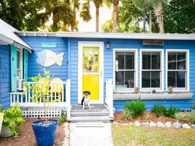 A colorful beach themed cottage with a black and white dog sitting out front.