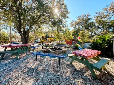 Picnic tables and benches surrounding a fire pit beneath trees at River’s End Campground.