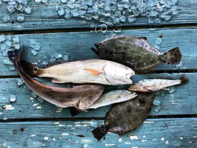 Freshly caught fish laying on a dock.