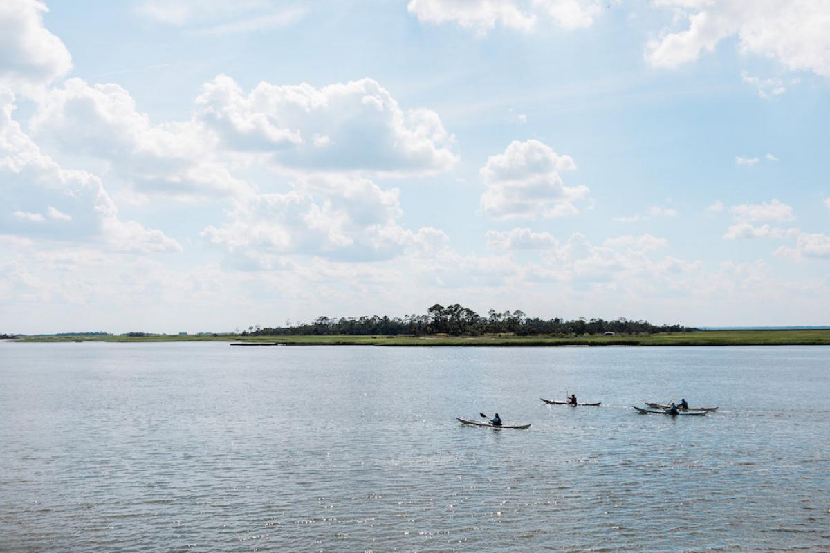 visit little tybee island