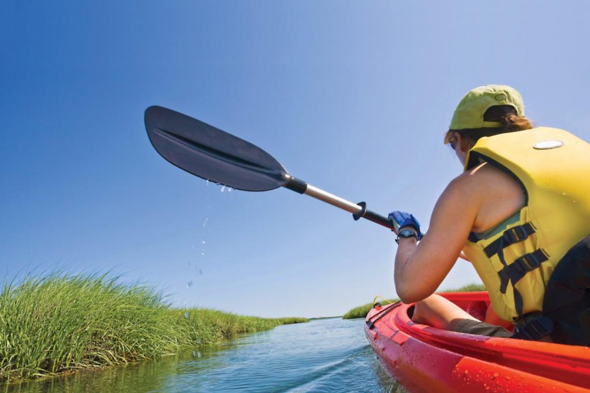 kayak tours tybee island