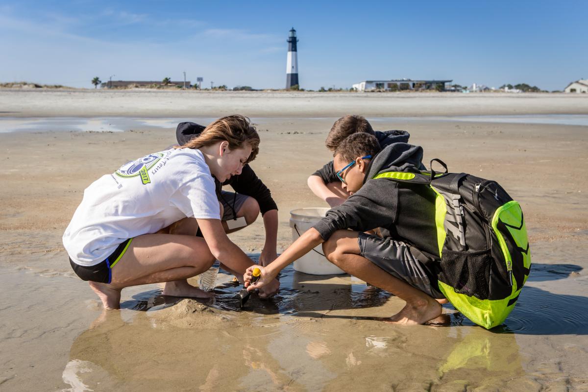 Over 4 thousand Tybee beach advisories so far this month. Ways to