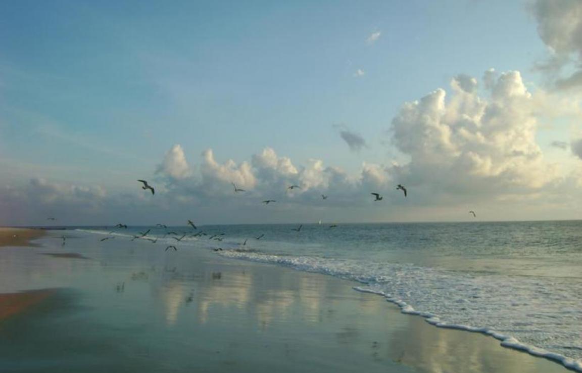 Tybee Time Vacation Rentals Tybee Time Vacation Rentals