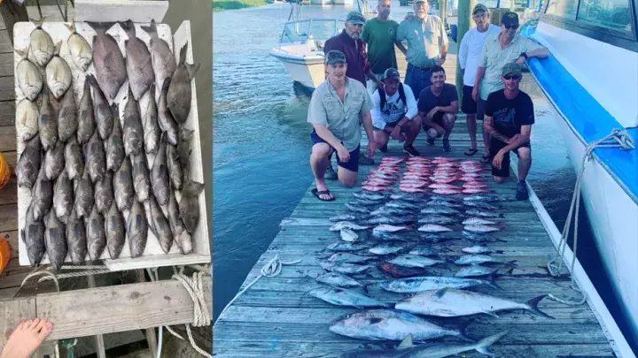 Multiple rows of fish lined up on a dock with a group of men