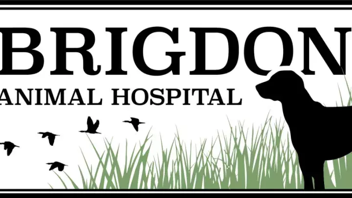 Brigdon Animal Hospital logo - dog, grass and birds flying in the sky