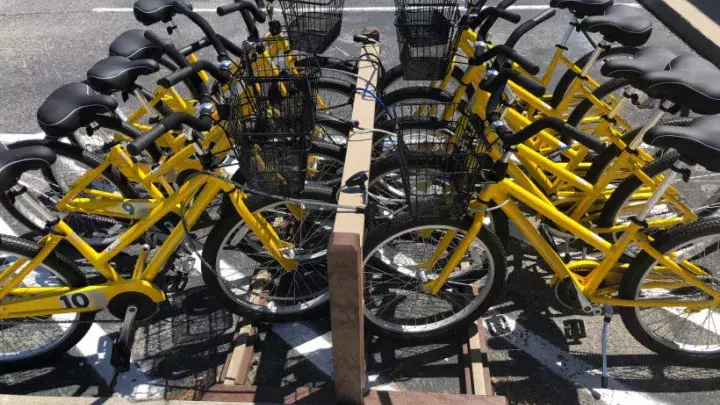 Mutliple yellow bikes tied to an outdoor bike rail