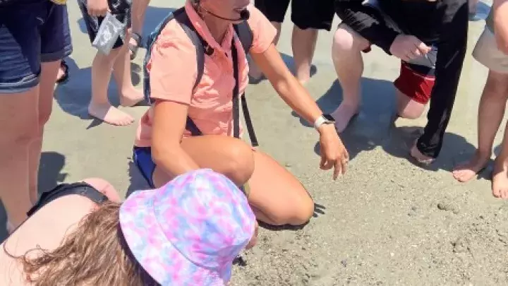 Tybee Shark Teeth Tours’ group gathered together on the beach