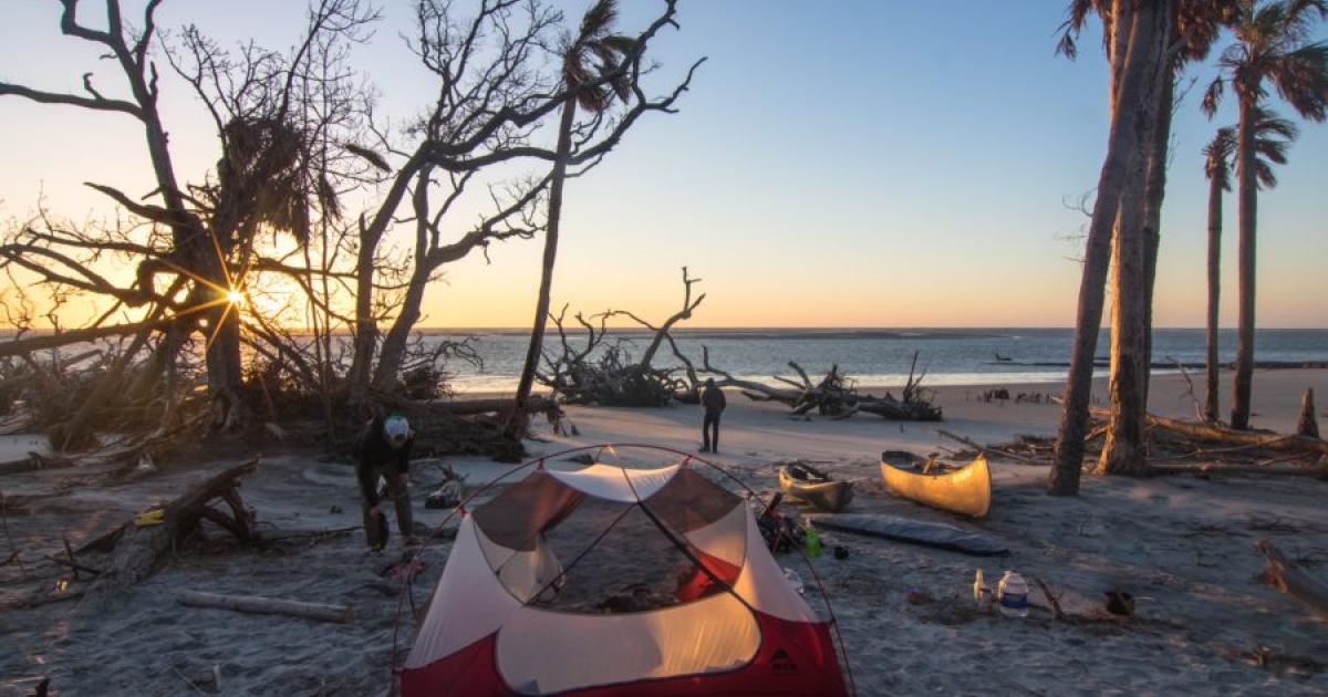 We Spent a Day on Little Tybee Island: Here's What We Uncovered