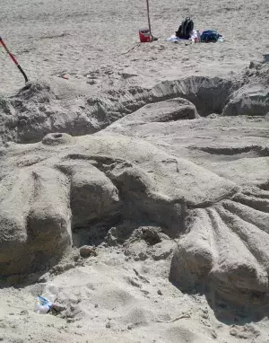 An octopus being built out of sand