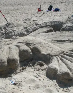 An octopus being built out of sand