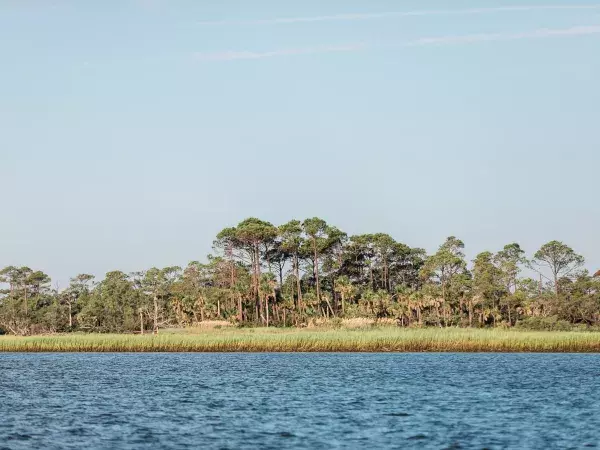 little tybee island