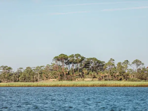 little tybee island
