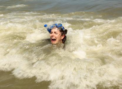 seashell hunter