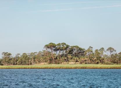 little tybee island