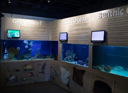 Tybee Island Marine Science Center Tybee Island Georgia