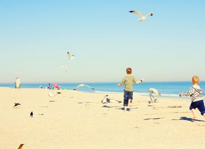 beach kids birds fall