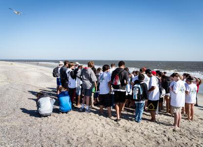 Tybee Beach Ecology Trips 
