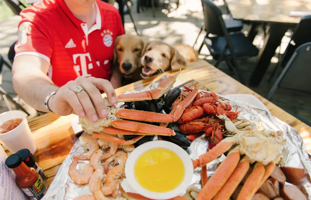 Dogs The Crab Shack Tybee Island